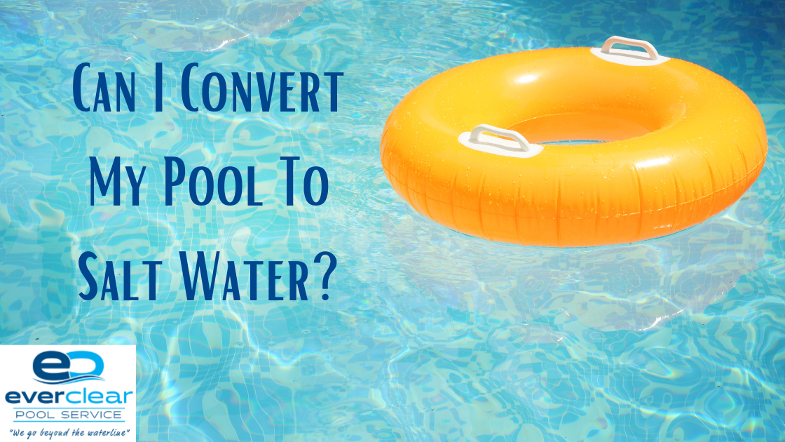 Can I Convert My Pool To Salt Water?