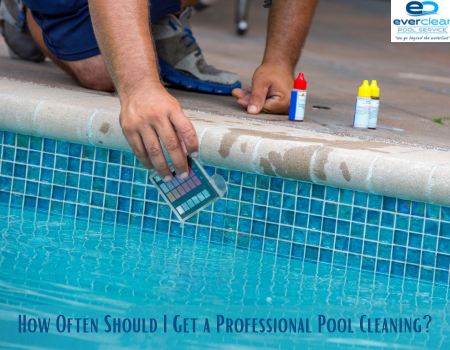 How Often Should I Get a Professional Pool Cleaning?