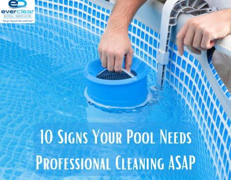 10 Signs Your Pool Needs Professional Cleaning ASAP