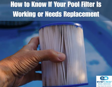 How to Know If Your Pool Filter Is Working or Needs Replacement