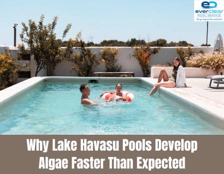 Why Lake Havasu Pools Develop Algae Faster Than Expected