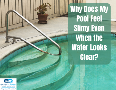 Why Does My Pool Feel Slimy Even When the Water Looks Clear?