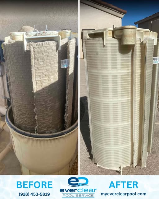 DE, Pool Filter, Cleaning, Maintenance, Repair, Service